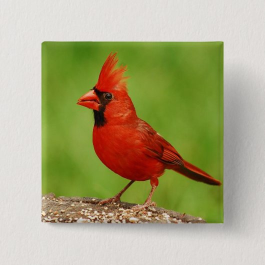 Cardinal Vierkante Button 5,1 Cm (Voorkant)