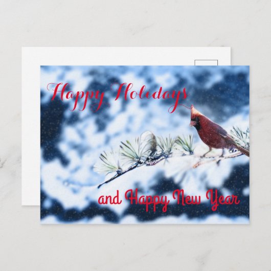 Cardinale Bird Snowy Branch Post Card Feestdagenkaart (Voorkant / Achterkant)