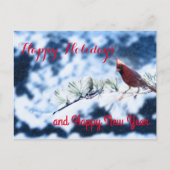 Cardinale Bird Snowy Branch Post Card Feestdagenkaart (Voorkant)