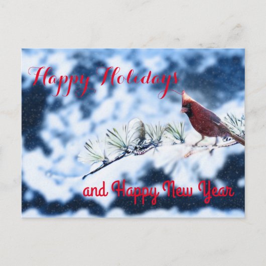 Cardinale Bird Snowy Branch Post Card Feestdagenkaart (Voorkant)
