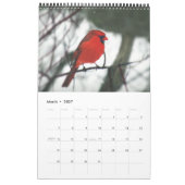 Cardinale foto kalender (Mar 2027)