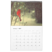 Cardinale foto kalender (Jan 2027)