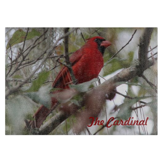 Cardinale foto van Nice aanpassen Snijplank (Voorkant)