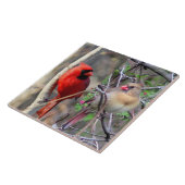 Cardinale peren keramische Tegel Tegeltje (Zijkant)