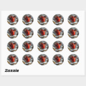 Cardinale sneeuwfoto ronde sticker (Vel)