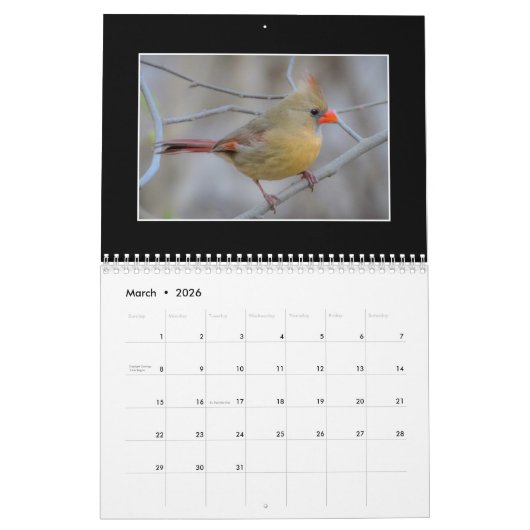 Cardinals 2020 Maandelijkse kalender van Thomas Mi (Mar 2026)