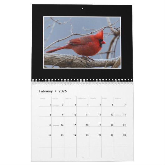 Cardinals 2020 Maandelijkse kalender van Thomas Mi (Feb 2026)