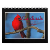 Cardinals 2020 Maandelijkse kalender van Thomas Mi (Hoes)