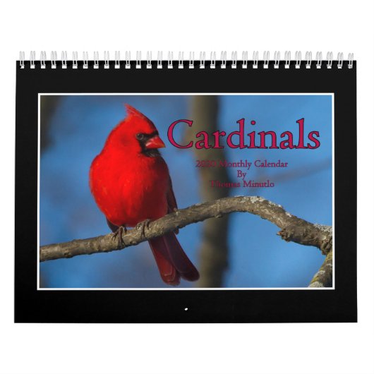 Cardinals 2020 Maandelijkse kalender van Thomas Mi (Hoes)