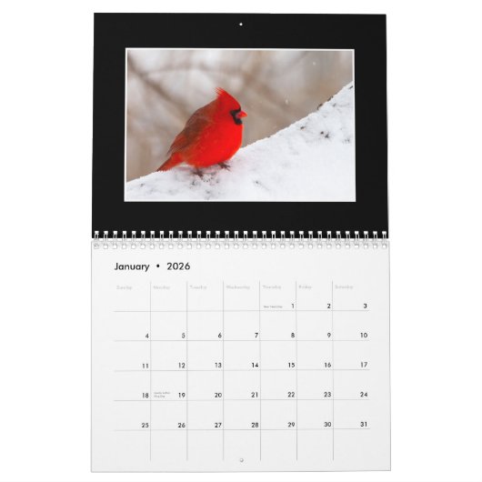 Cardinals 2020 Maandelijkse kalender van Thomas Mi (Jan 2026)
