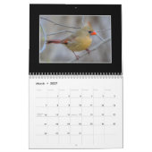 Cardinals 2020 Maandelijkse kalender van Thomas Mi (Mar 2027)