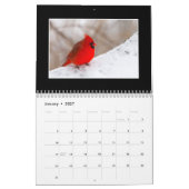 Cardinals 2020 Maandelijkse kalender van Thomas Mi (Jan 2027)