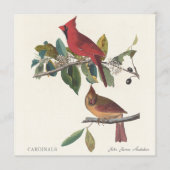 Cardinals by John James Audubon (Voorkant)