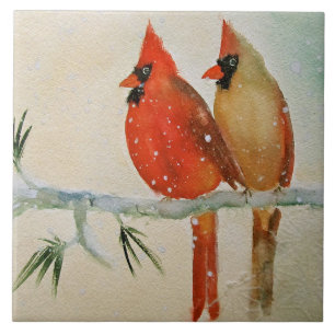 Cardinals Ceramic Kitchen Tile Tegeltje