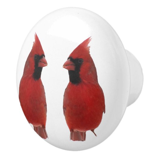 Cardinals Ceramic Knob. Keramische Knop (Rechts)