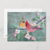 CARDINALS EN APPARATUUR BLOSSEN OP SHARON SHARPE BRIEFKAART (Voorkant / Achterkant)
