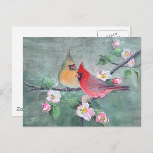 CARDINALS EN APPARATUUR BLOSSEN OP SHARON SHARPE BRIEFKAART (Voorkant / Achterkant)