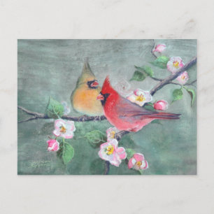CARDINALS EN APPARATUUR BLOSSEN OP SHARON SHARPE BRIEFKAART