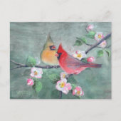 CARDINALS EN APPARATUUR BLOSSEN OP SHARON SHARPE BRIEFKAART (Voorkant)