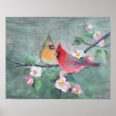 CARDINALS EN APPARATUUR BLOSSEN OP SHARON SHARPE POSTER (Voorkant)