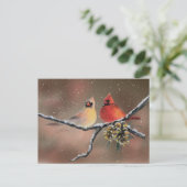 CARDINALS EN SNEEUW DOOR SHARON SHARPE BRIEFKAART (Staand voorkant)