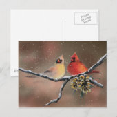 CARDINALS EN SNEEUW DOOR SHARON SHARPE BRIEFKAART (Voorkant / Achterkant)
