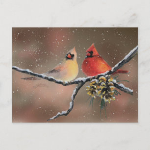 CARDINALS EN SNEEUW DOOR SHARON SHARPE BRIEFKAART