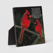 CARDINALS FOTOPLAAT (Voorkant)