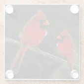 CARDINALS GLAZEN ONDERZETTER (Achterkant)