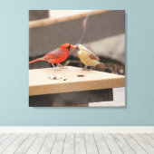 Cardinals Kiss Canvas Afdruk (Insitu (Houten vloer))