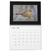 Cardinals Monthly Calendar By Thomas Minutolo Kalender (Mar 2026)