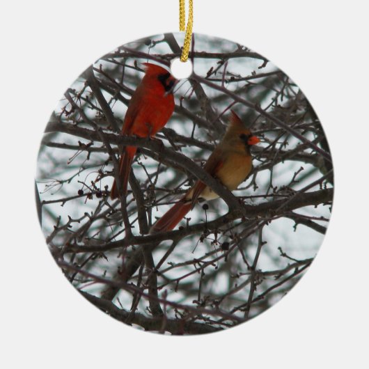 Cardinals Ornament (Voorkant)