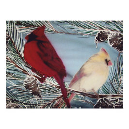 Cardinals Perched Foto Afdruk