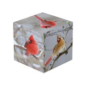 Cardinals_Photo_Cube Kubus (Achter hoekig)