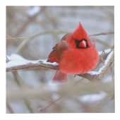 Cardinals_Photo_Cube Kubus (Voorkant)