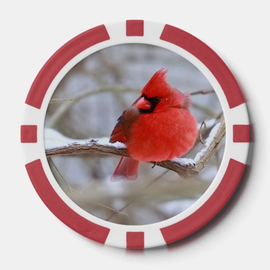  Cardinals_Poker_Chips  Poker Chips (Voorkant)