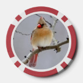  Cardinals_Poker_Chips  Poker Chips (Achterkant)