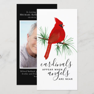 Cardinals Uiterlijk Angels Foto Memorial Bladwijze