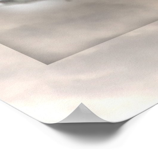 Cardinals Winter Scene Poster (Hoek)