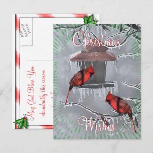 CardinalsIcyFeederPostcard-pas aan Feestdagenkaart (Voorkant / Achterkant)