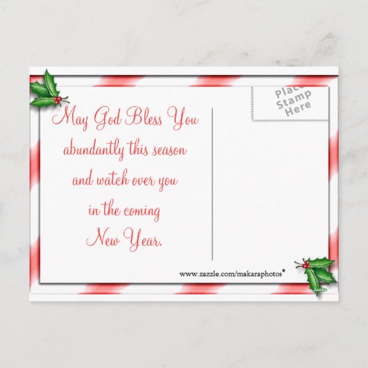 CardinalsIcyFeederPostcard-pas aan Feestdagenkaart (Achterkant)