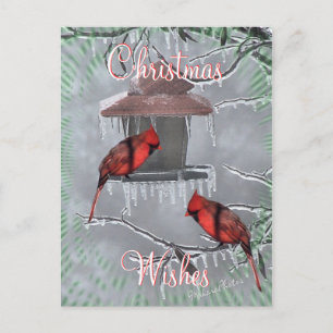 CardinalsIcyFeederPostcard-pas aan Feestdagenkaart
