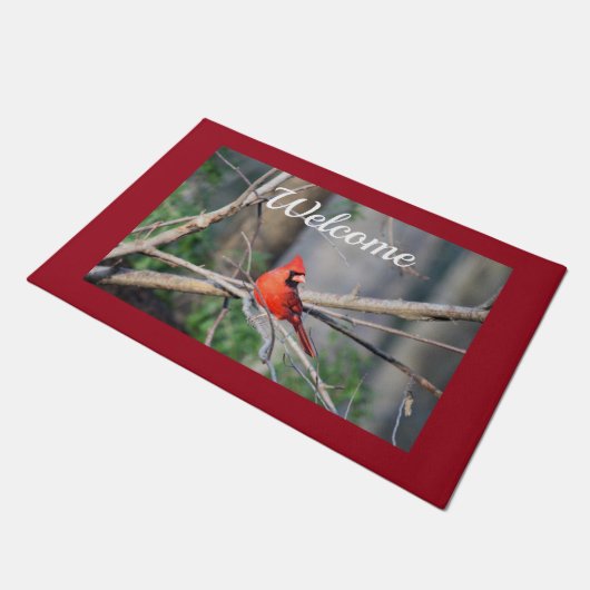 Cardineprofiellente Deurmat (Schuin)