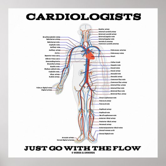 Cardiologen gaan gewoon met de stroom (circulatoir poster (Voorkant)