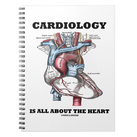 Cardiologie draait allemaal om het hart (anatomisc notitieboek (Voorkant)