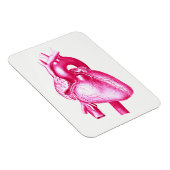 Cardiologie Pop Art: Roze Menselijk Hart Anatomie Magneet (Rechterzijde)