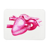 Cardiologie Pop Art: Roze Menselijk Hart Anatomie Magneet (Horizontaal)