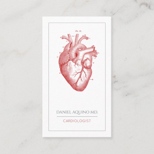 Cardioloog Doctor Anatomical Heart Illustration Visitekaartje (Voorkant)