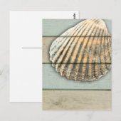 Cardita Shell Briefkaart (Voorkant / Achterkant)