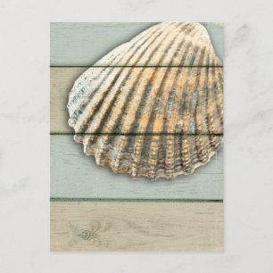 Cardita Shell Briefkaart